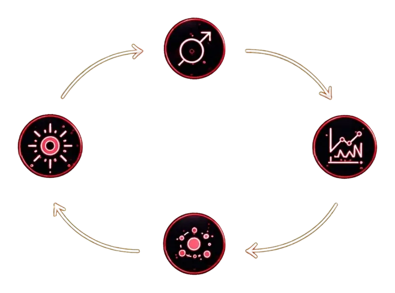 Vicious cycle linking hyperandrogenism, insulin resistance, inflammation and oxidative stress
