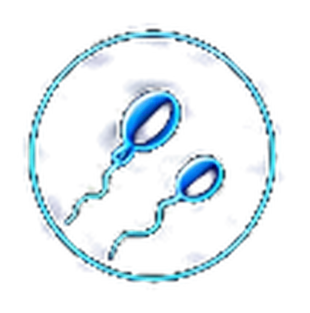 Pair of spermatozoa