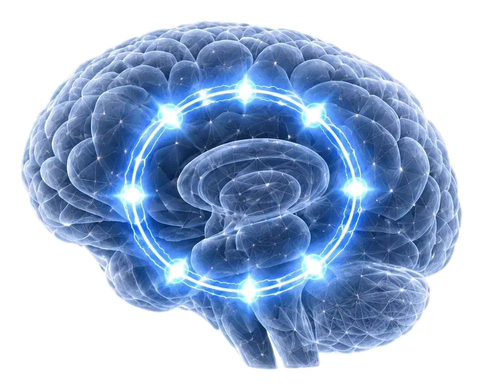 Brain with an intact, evenly lit CSTC loop